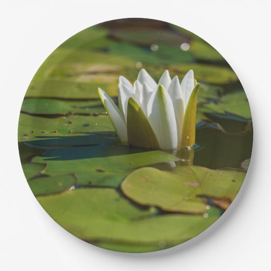 Water Lily Blossom Papieren Bordje (Voorkant)