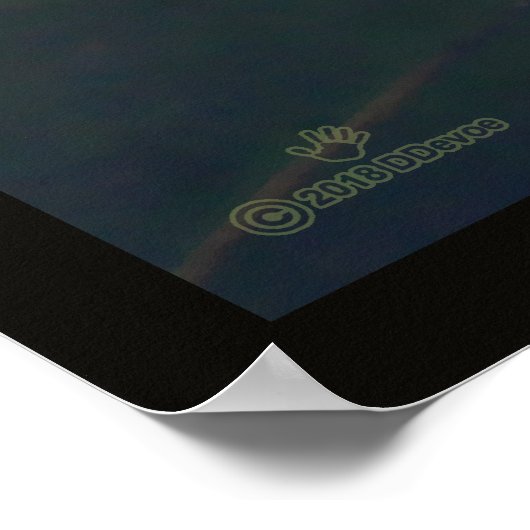 Water Lily Blossom Poster (Hoek)