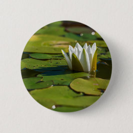 Water Lily Blossom Ronde Button 5,7 Cm
