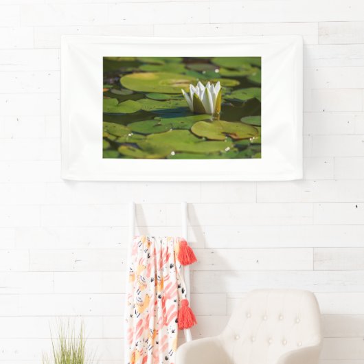 Water Lily Blossom Spandoek (Insitu)