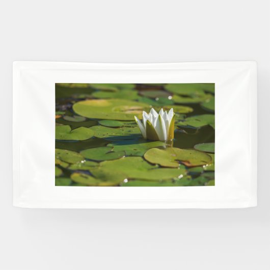 Water Lily Blossom Spandoek (Horizontaal)