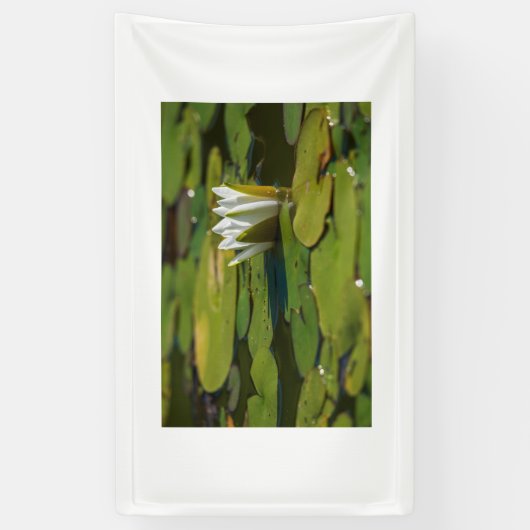 Water Lily Blossom Spandoek (Verticaal)