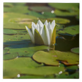Water Lily Blossom Tegeltje (Voorkant)