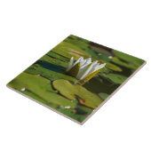 Water Lily Blossom Tegeltje (Zijkant)