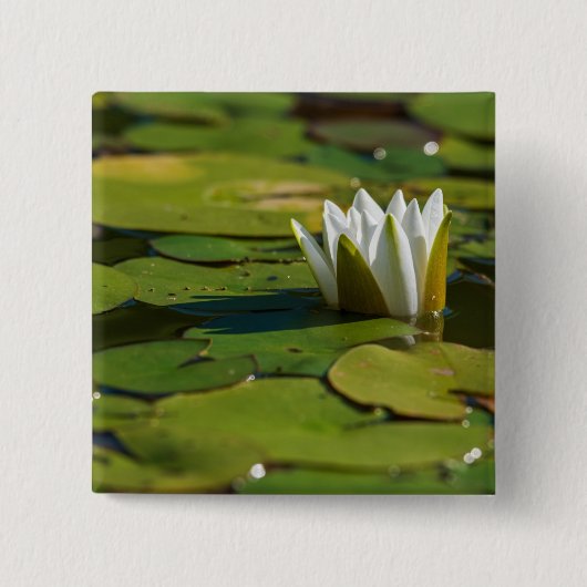 Water Lily Blossom Vierkante Button 5,1 Cm (Voorkant)