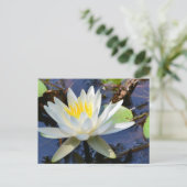 Water Lily Briefkaart (Staand voorkant)