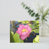 Water Lily Briefkaart (Staand voorkant)