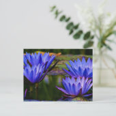 Water Lily Briefkaart (Staand voorkant)