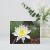 Water Lily Briefkaart (Staand voorkant)