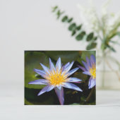 Water Lily Briefkaart (Staand voorkant)