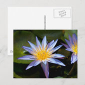Water Lily Briefkaart (Voorkant / Achterkant)