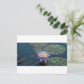 Water Lily Briefkaart (Staand voorkant)