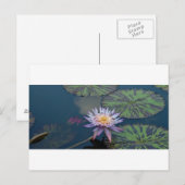 Water Lily Briefkaart (Voorkant / Achterkant)