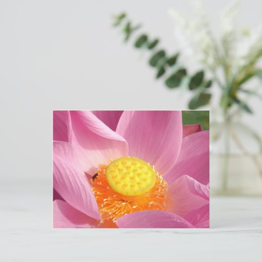 Water Lily Briefkaart (Staand voorkant)