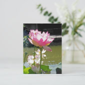 Water Lily Briefkaart (Staand voorkant)