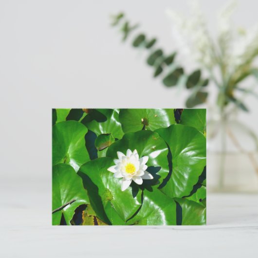 Water Lily Briefkaart (Staand voorkant)