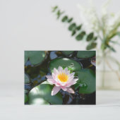 Water Lily Briefkaart (Staand voorkant)