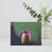 Water Lily - briefkaart (Staand voorkant)