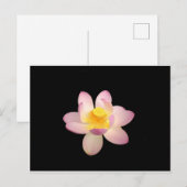 Water Lily Briefkaart (Voorkant / Achterkant)