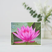 Water Lily Briefkaart (Staand voorkant)