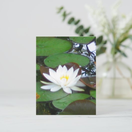 Water Lily Briefkaart (Staand voorkant)