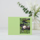 Water Lily Briefkaart (Staand voorkant)
