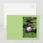 Water Lily Briefkaart (Voorkant / Achterkant)