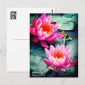 Water Lily:Briefkaart Briefkaart (Voorkant / Achterkant)