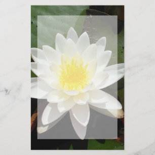 Water Lily Briefpapier