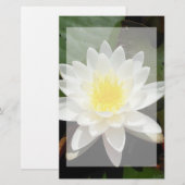 Water Lily Briefpapier (Voorkant / Achterkant)