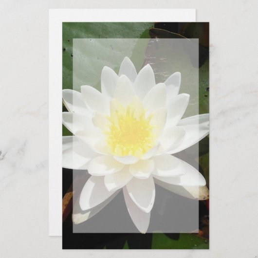 Water Lily Briefpapier (Voorkant / Achterkant)