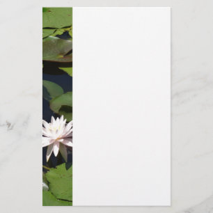 Water Lily Briefpapier