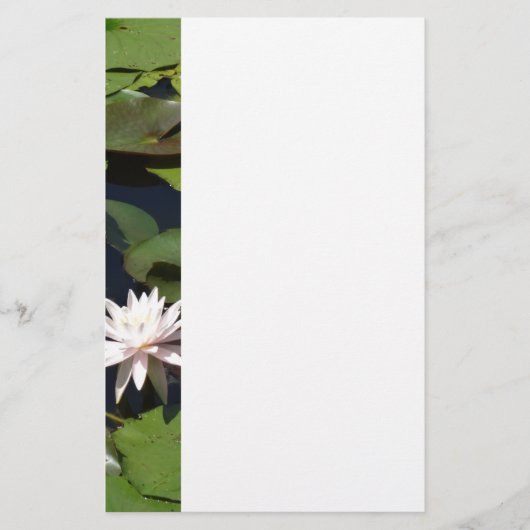 Water Lily Briefpapier (Voorkant)