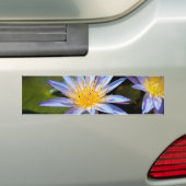 Water Lily Bumpersticker (Op auto)