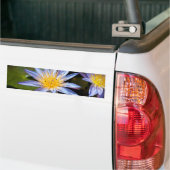 Water Lily Bumpersticker (Op Truck)