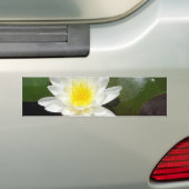 Water Lily Bumpersticker (Op auto)