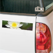 Water Lily Bumpersticker (Op Truck)