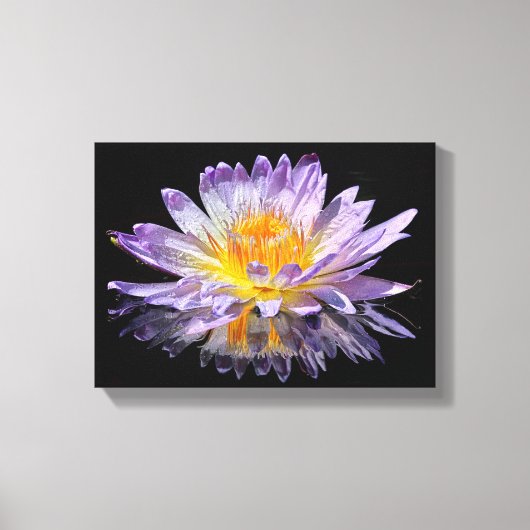 Water Lily Canvas Afdruk (Voorkant)