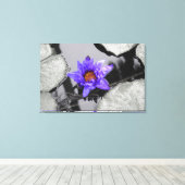 Water Lily Canvas Afdruk (Insitu (Houten vloer))