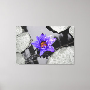 Water Lily Canvas Afdruk