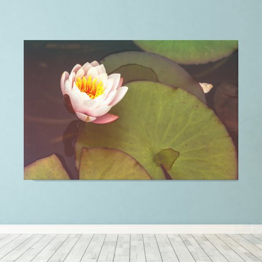 Water Lily Canvas Afdruk (Insitu (Houten vloer))