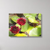 Water Lily Canvas Print (Voorkant)