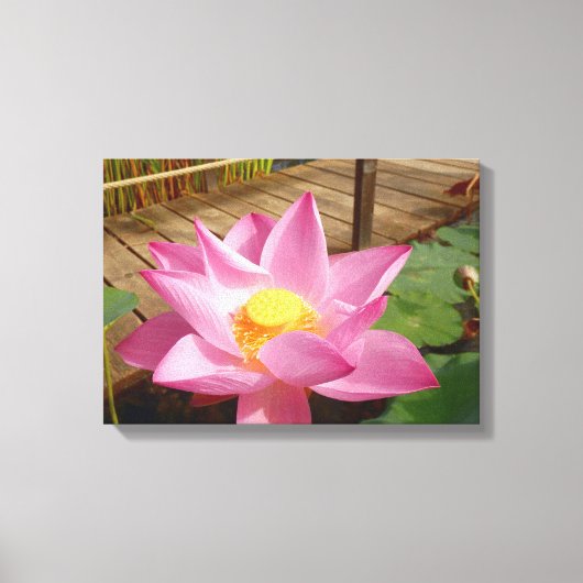 Water Lily Canvas Print (Voorkant)