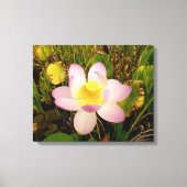 Water Lily Canvas Print (Voorkant)