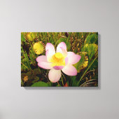Water Lily Canvas Print (Voorkant)