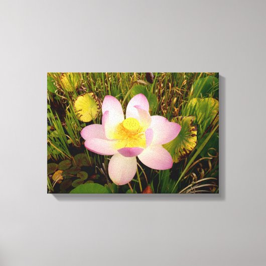 Water Lily Canvas Print (Voorkant)