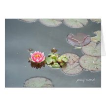 Water Lily Card