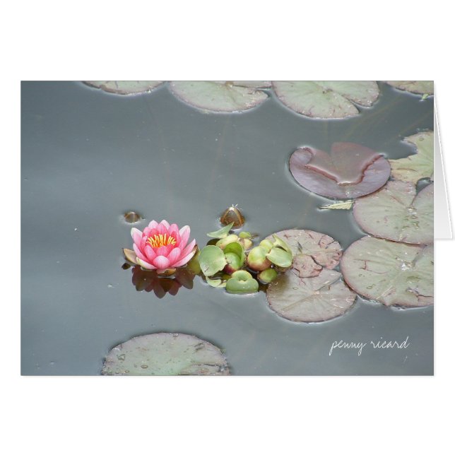 Water Lily Card (Voorkant Horizontaal)