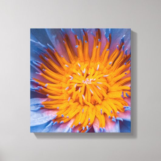 Water Lily Centered Canvas Afdruk (Voorkant)