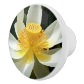Water Lily Ceramic Knob. Keramische Knop (Rechts)